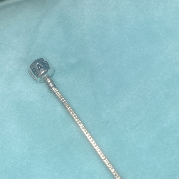 Pandora Charm Bracelet - Picture 6 of 8